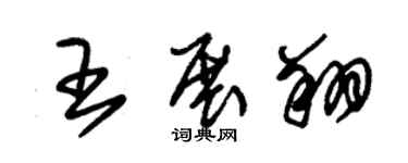 朱錫榮王展翔草書個性簽名怎么寫