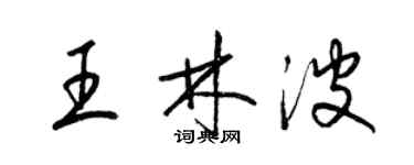 梁錦英王林波草書個性簽名怎么寫