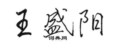 駱恆光王盛陽行書個性簽名怎么寫