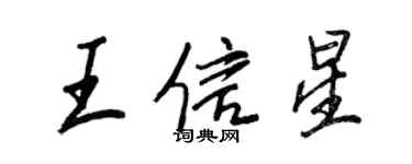 王正良王信星行書個性簽名怎么寫