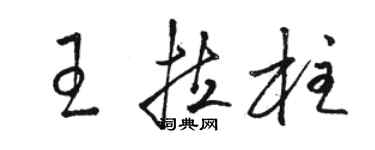 駱恆光王拉柱草書個性簽名怎么寫