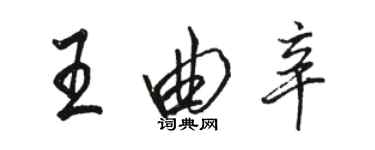 駱恆光王曲辛行書個性簽名怎么寫