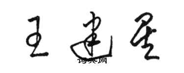 駱恆光王建星草書個性簽名怎么寫