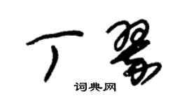 朱錫榮丁翠草書個性簽名怎么寫