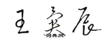 駱恆光王異辰草書個性簽名怎么寫