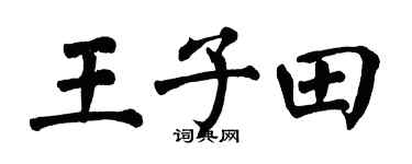 翁闓運王子田楷書個性簽名怎么寫