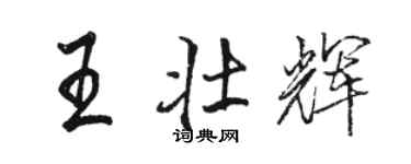 駱恆光王壯輝行書個性簽名怎么寫