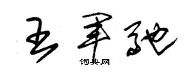 朱錫榮王軍馳草書個性簽名怎么寫
