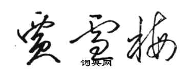 駱恆光賈雪梅草書個性簽名怎么寫