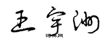 曾慶福王宇洲草書個性簽名怎么寫