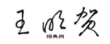 駱恆光王明賀草書個性簽名怎么寫