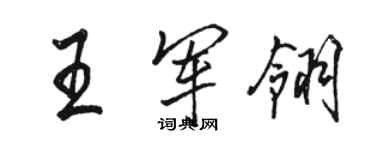 駱恆光王軍翎行書個性簽名怎么寫