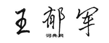 駱恆光王郁軍行書個性簽名怎么寫