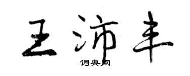 曾慶福王沛豐行書個性簽名怎么寫