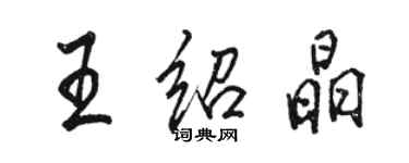 駱恆光王紹晶行書個性簽名怎么寫