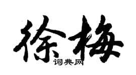 胡問遂徐梅行書個性簽名怎么寫