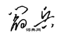 駱恆光閻兵草書個性簽名怎么寫