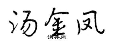 曾慶福湯金鳳行書個性簽名怎么寫
