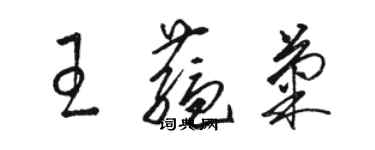 駱恆光王蘊菊草書個性簽名怎么寫