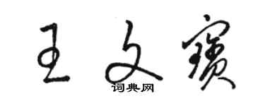 駱恆光王文寶草書個性簽名怎么寫