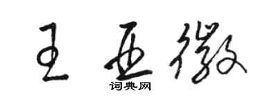 駱恆光王亞徽草書個性簽名怎么寫