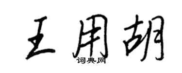 王正良王用胡行書個性簽名怎么寫