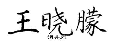 丁謙王曉朦楷書個性簽名怎么寫