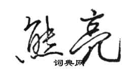 駱恆光熊亮行書個性簽名怎么寫