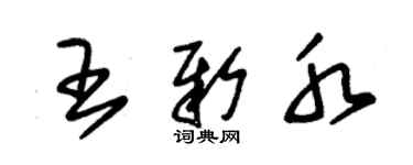 朱錫榮王新水草書個性簽名怎么寫