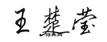 駱恆光王楚瑩行書個性簽名怎么寫