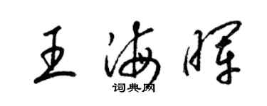 梁錦英王海暉草書個性簽名怎么寫