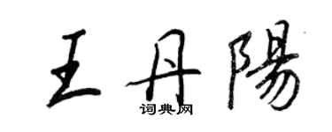 王正良王丹陽行書個性簽名怎么寫