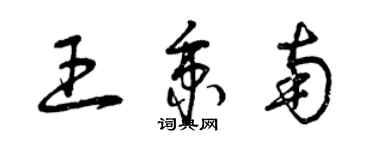 曾慶福王秉南草書個性簽名怎么寫