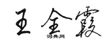 駱恆光王全霞行書個性簽名怎么寫