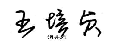 朱錫榮王培貞草書個性簽名怎么寫