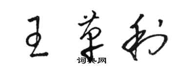 駱恆光王革利草書個性簽名怎么寫