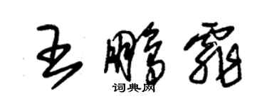 朱錫榮王鵬霏草書個性簽名怎么寫