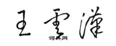 駱恆光王雲漢草書個性簽名怎么寫