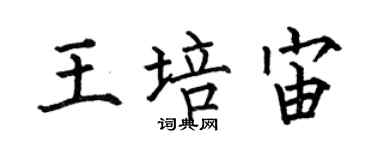 何伯昌王培宙楷書個性簽名怎么寫