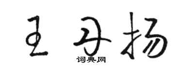 駱恆光王丹揚草書個性簽名怎么寫