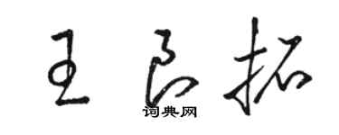 駱恆光王良拓草書個性簽名怎么寫