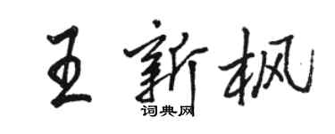 駱恆光王新楓行書個性簽名怎么寫