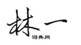 駱恆光林一行書個性簽名怎么寫
