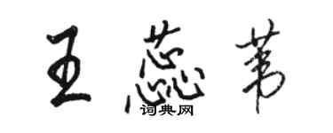 駱恆光王蕊葦行書個性簽名怎么寫