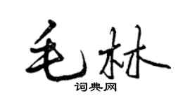 曾慶福毛林行書個性簽名怎么寫