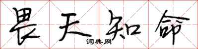 段相林畏天知命行書怎么寫