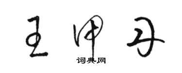 駱恆光王甲丹草書個性簽名怎么寫