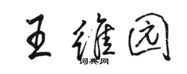 駱恆光王維園行書個性簽名怎么寫