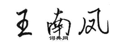 駱恆光王南鳳行書個性簽名怎么寫