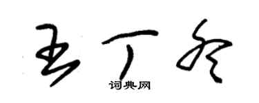 朱錫榮王丁冬草書個性簽名怎么寫